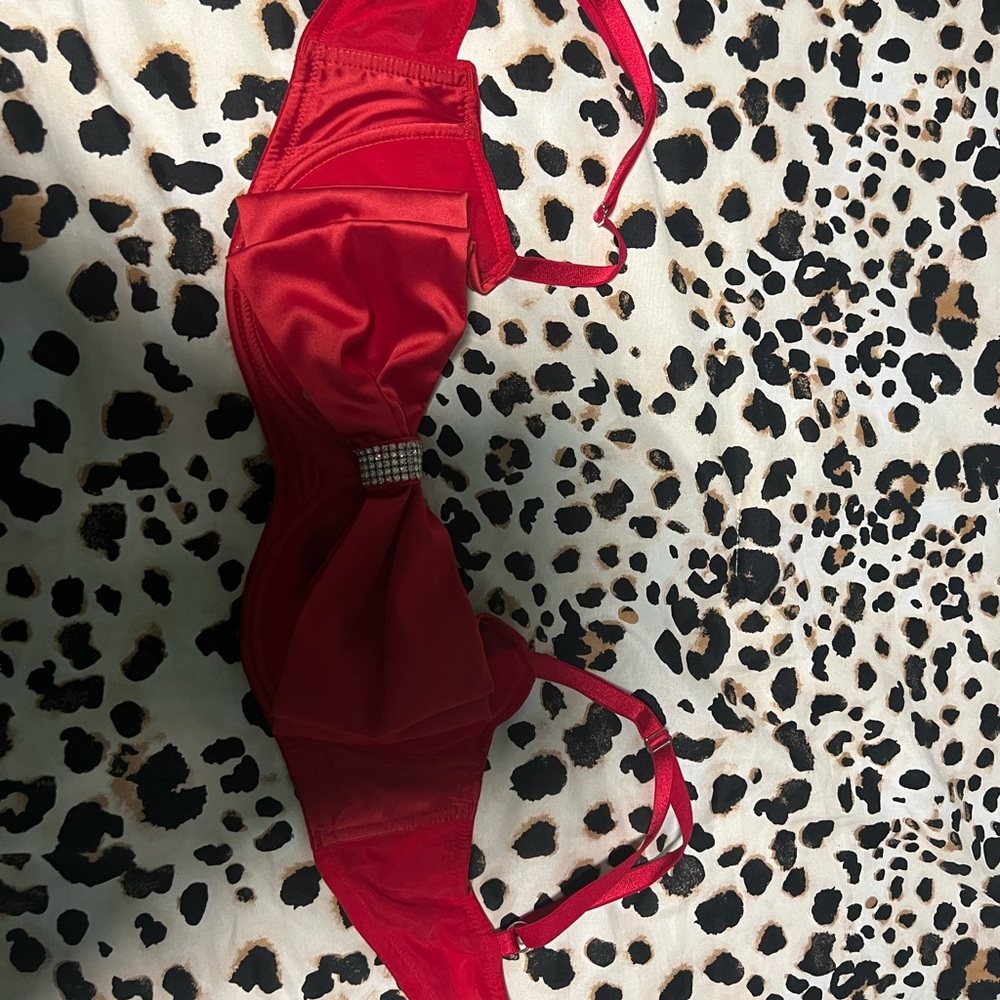 Beautiful bra size 36D